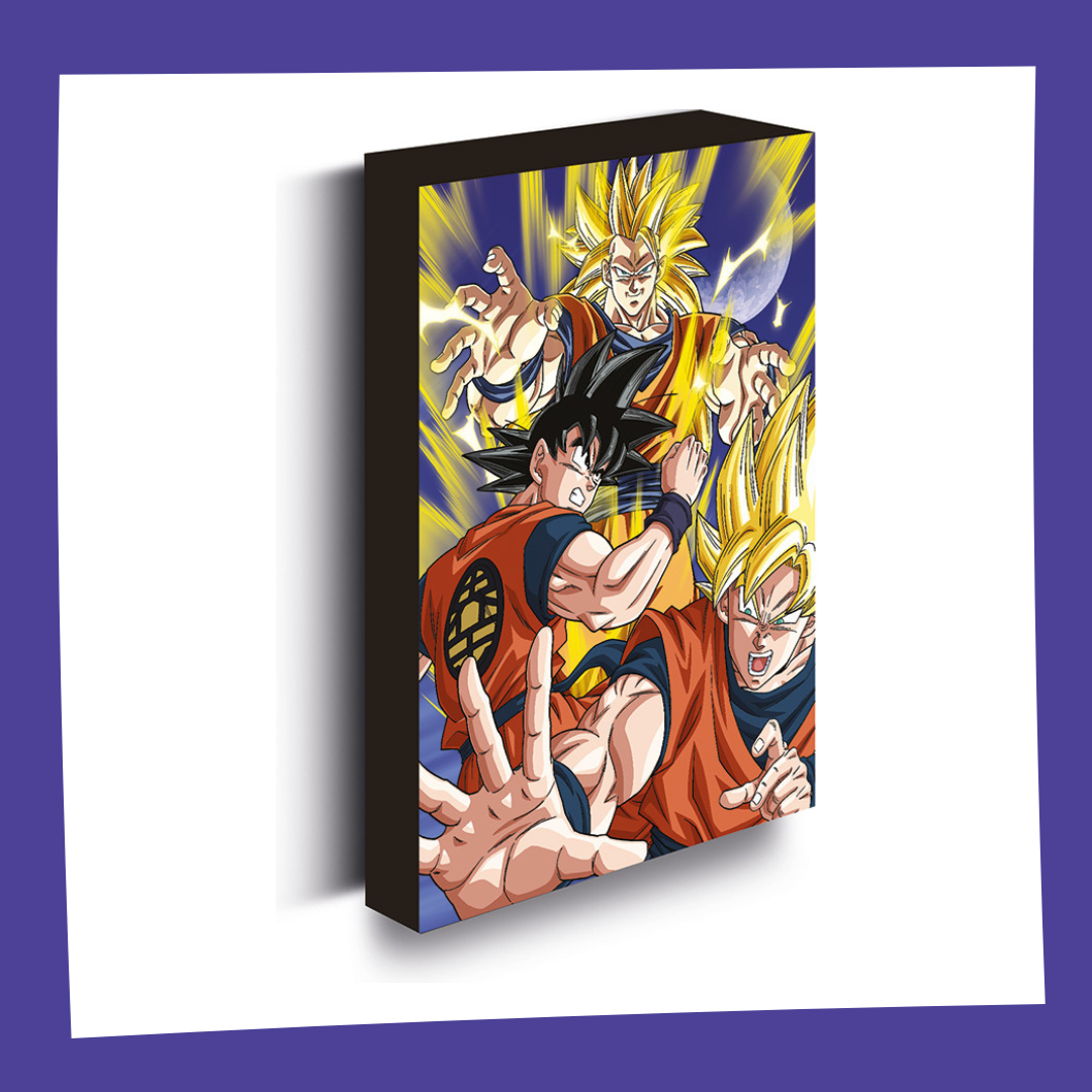 Dragon Ball Z - Goku Evolution 40x30cm - Canvas Lumineux Pyramid