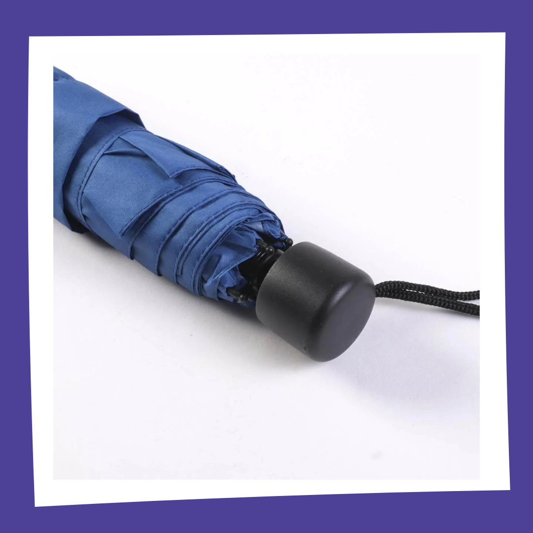 Harry Potter - Serdaigle / Ravenclaw - Parapluie Pliable Cerda 53cm