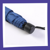 Harry Potter - Serdaigle / Ravenclaw - Parapluie Pliable Cerda 53cm