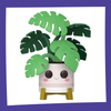 Funko POP! Flora - Monstera 02